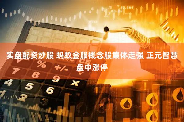 实盘配资炒股 蚂蚁金服概念股集体走强 正元智慧盘中涨停