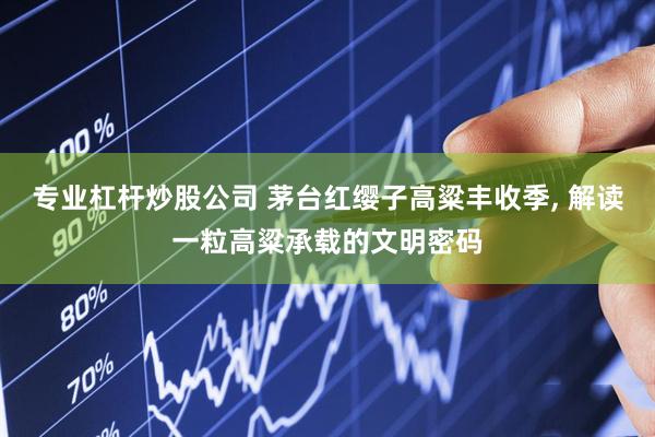 专业杠杆炒股公司 茅台红缨子高粱丰收季, 解读一粒高粱承载的文明密码