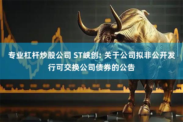 专业杠杆炒股公司 ST峡创: 关于公司拟非公开发行可交换公司债券的公告