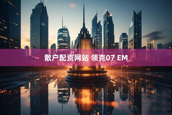 散户配资网站 领克07 EM