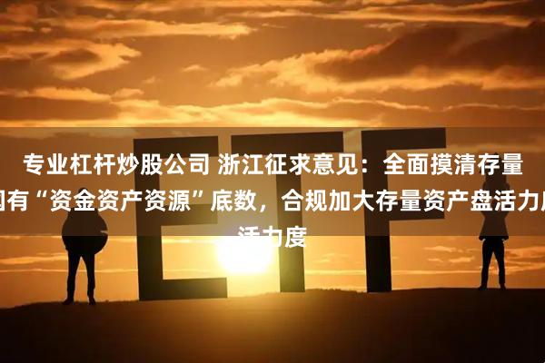 专业杠杆炒股公司 浙江征求意见：全面摸清存量国有“资金资产资源”底数，合规加大存量资产盘活力度