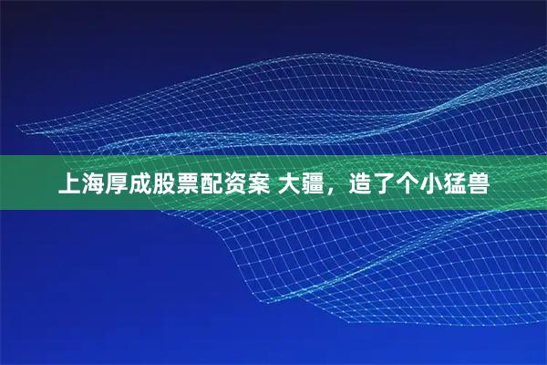 上海厚成股票配资案 大疆，造了个小猛兽